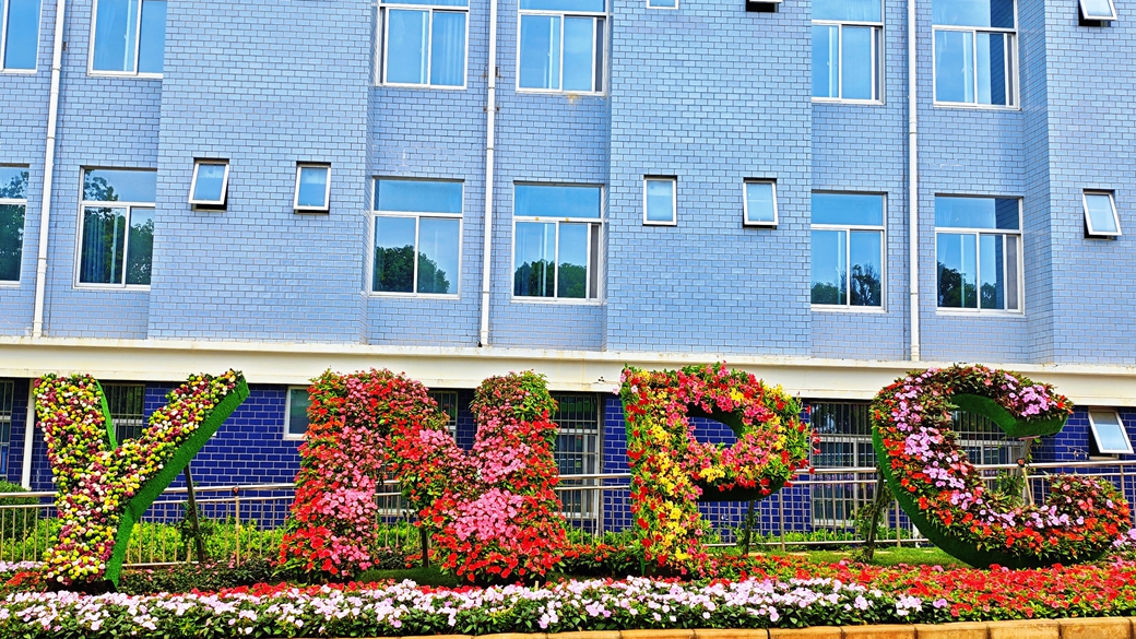 2024老澳门原料网大全