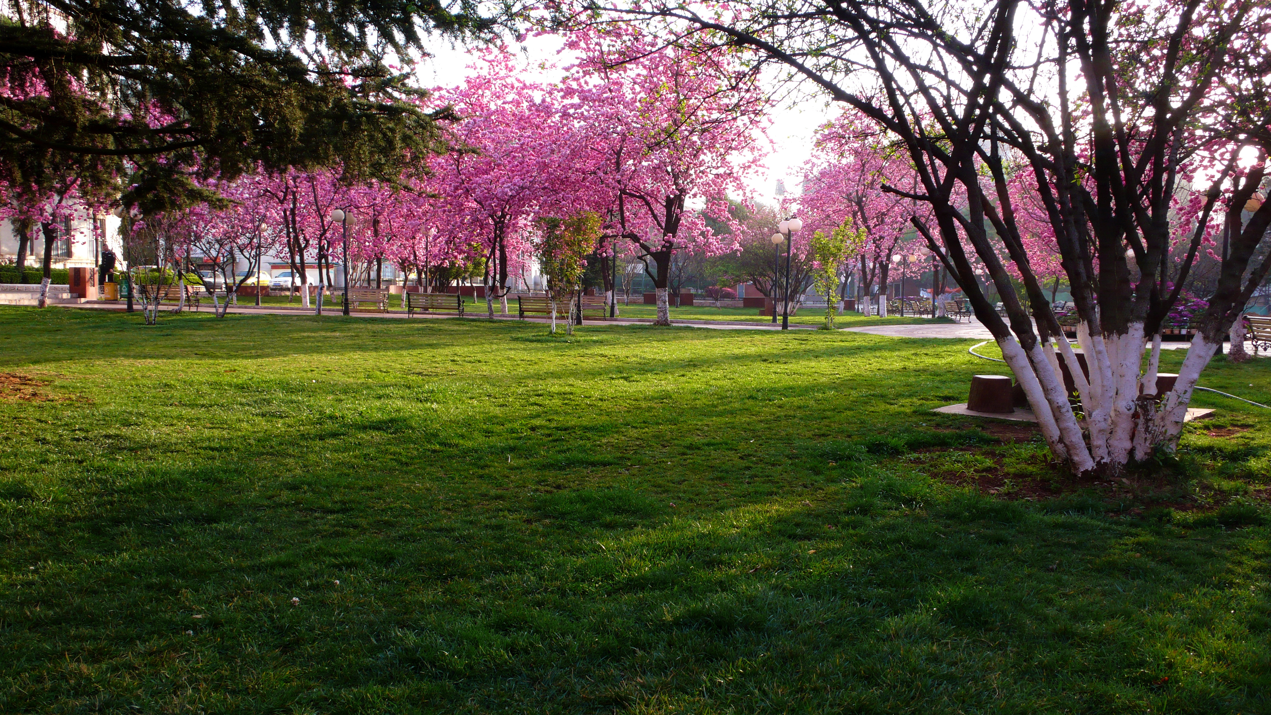 2024老澳门原料网大全