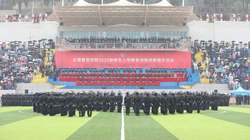 2024老澳门原料网大全