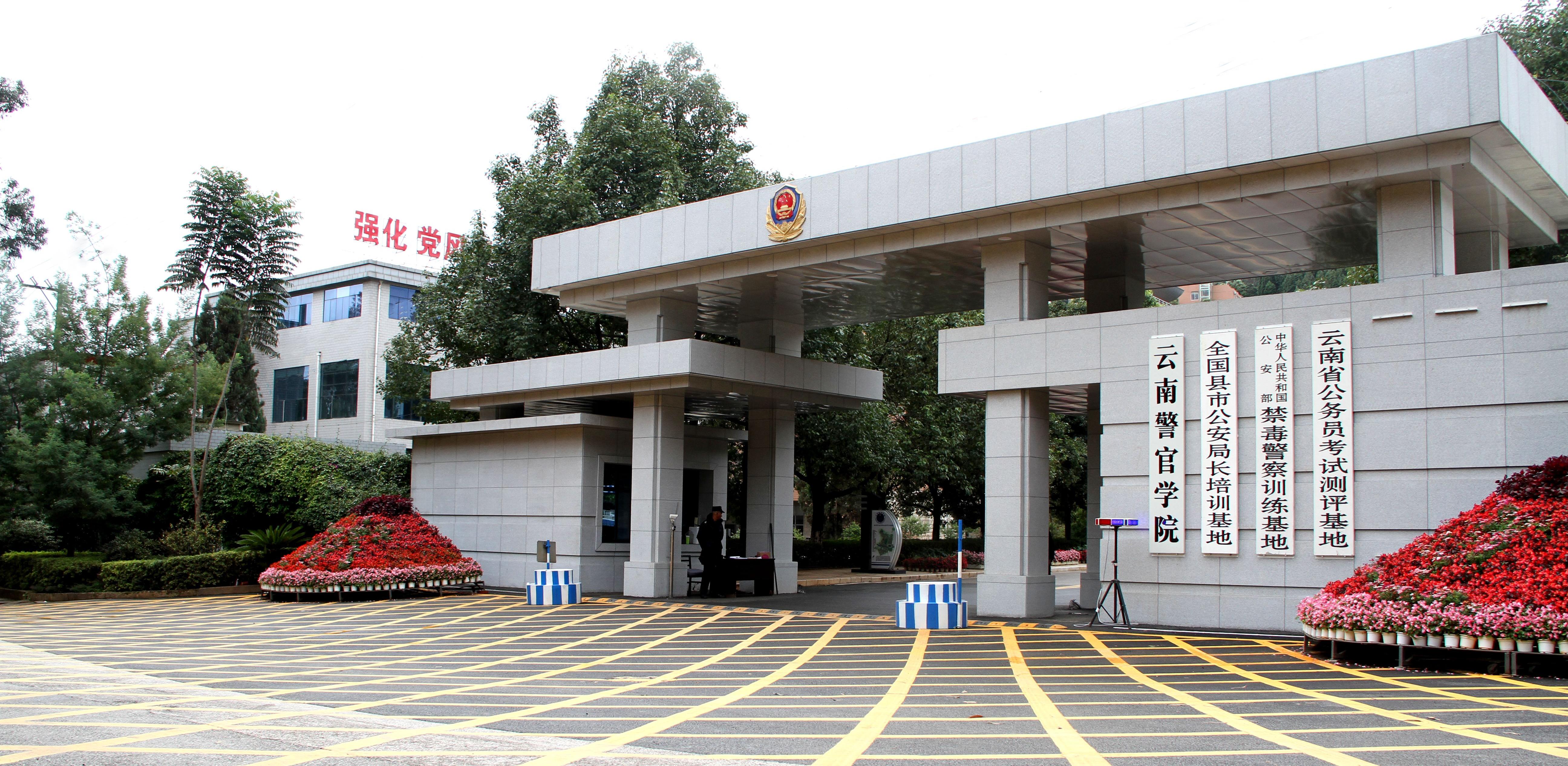 2024老澳门原料网大全