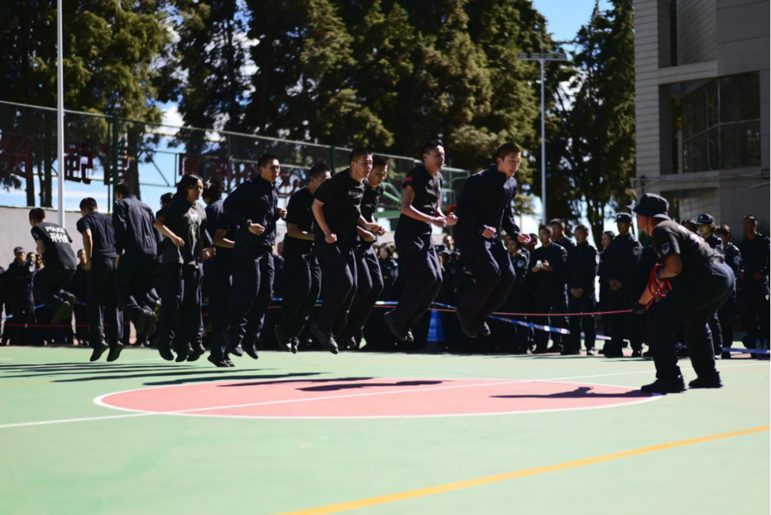 2024老澳门原料网大全