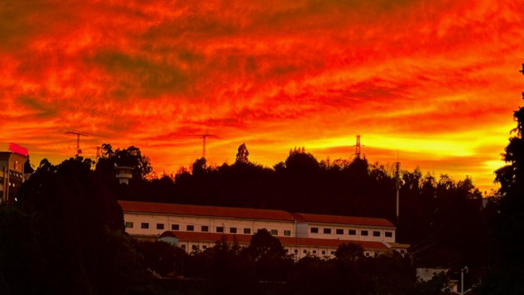 2024老澳门原料网大全