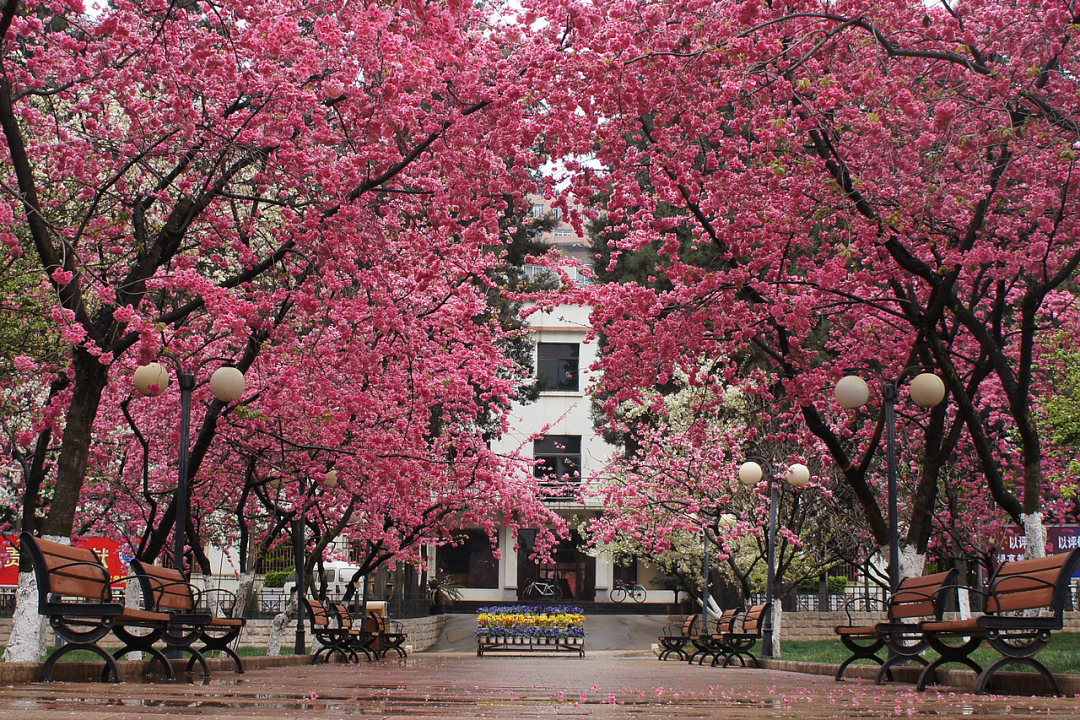 2024老澳门原料网大全