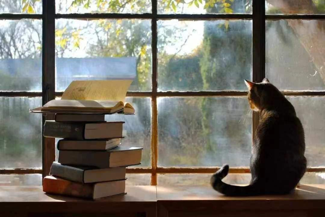 2024老澳门原料网大全