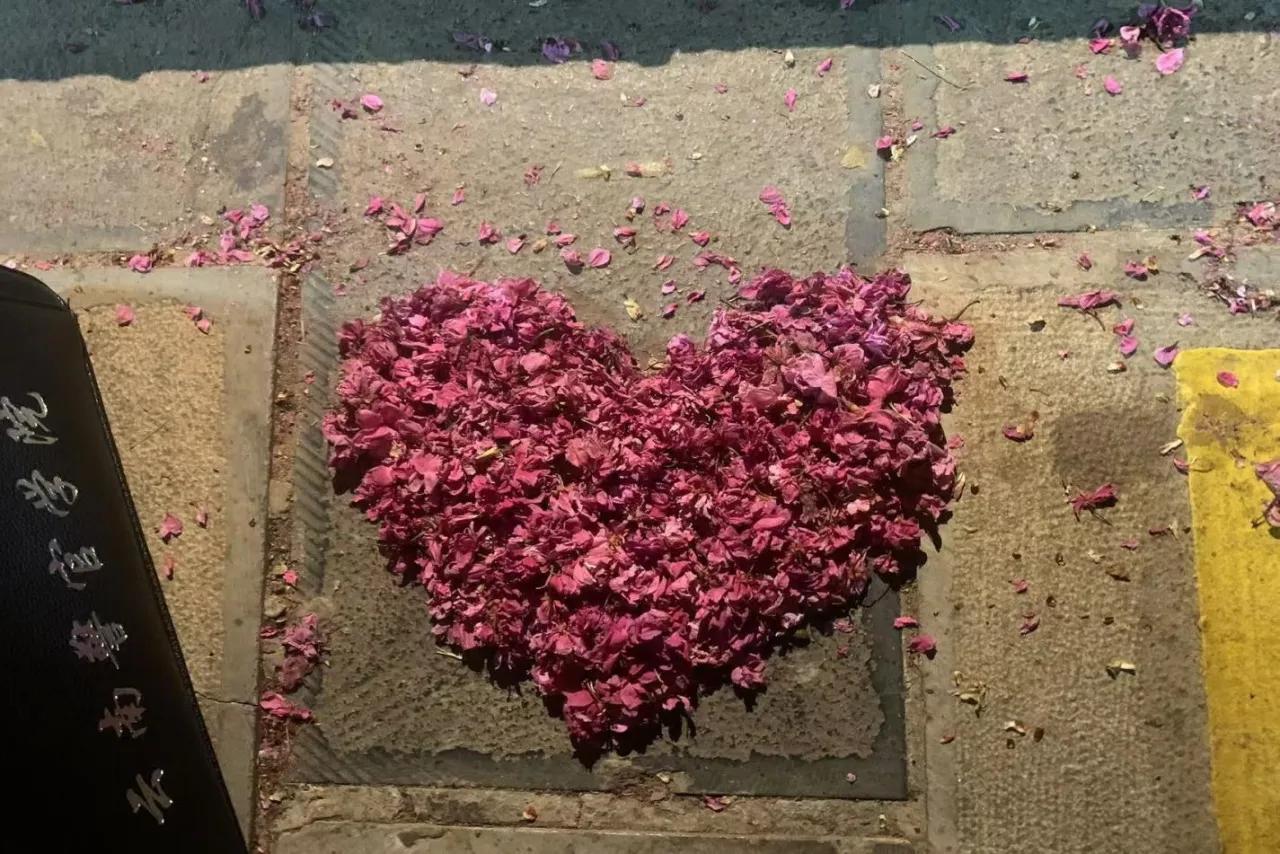 2024老澳门原料网大全