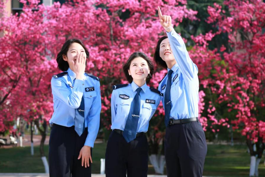 2024老澳门原料网大全