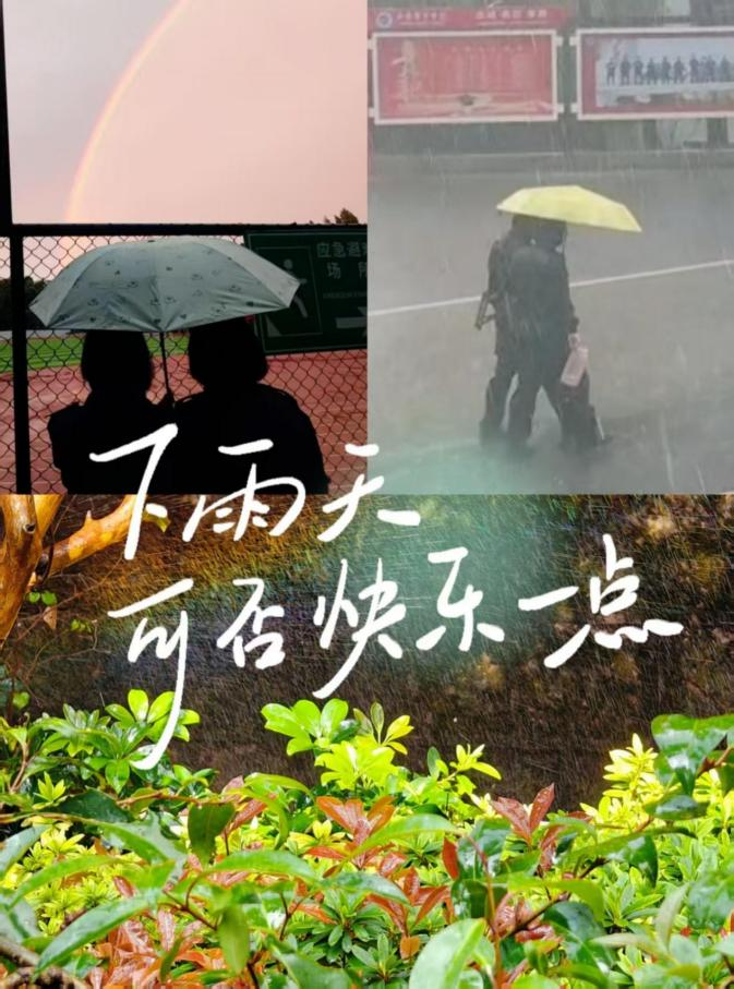 2024老澳门原料网大全