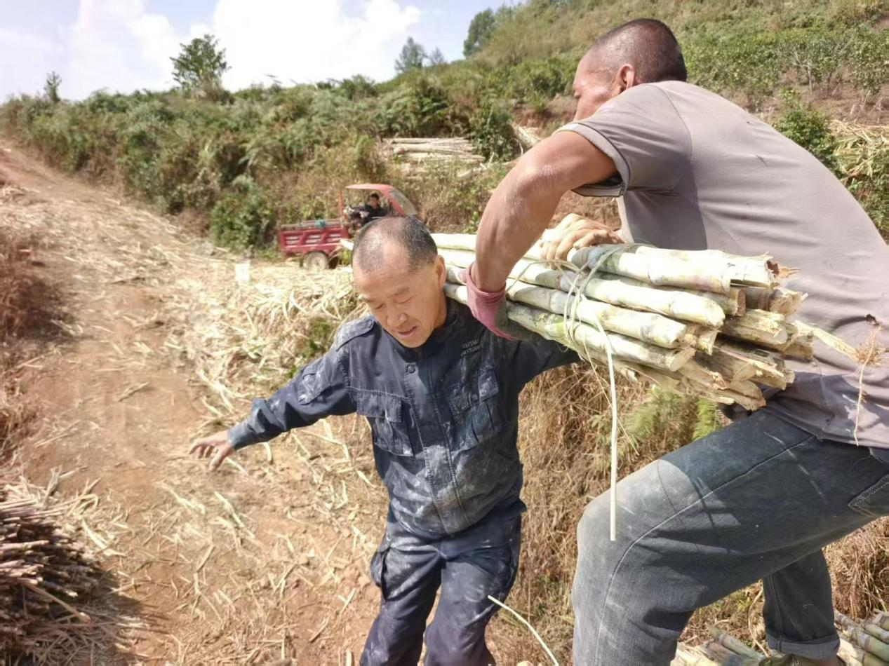 2024老澳门原料网大全